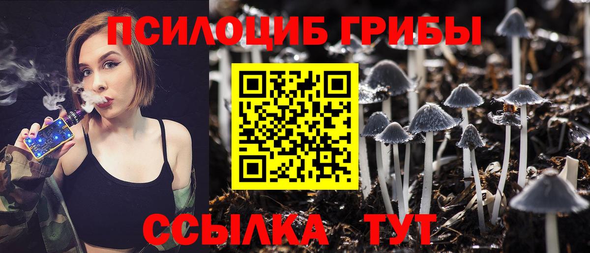 Керчь  Псилоцибиновые грибы Magic Shrooms  Вход с VPN  Галлюциногенные грибы MAGIC MUSHROOMS 